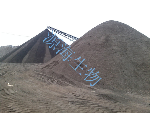 lͷۄS^