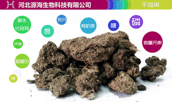 干雞糞